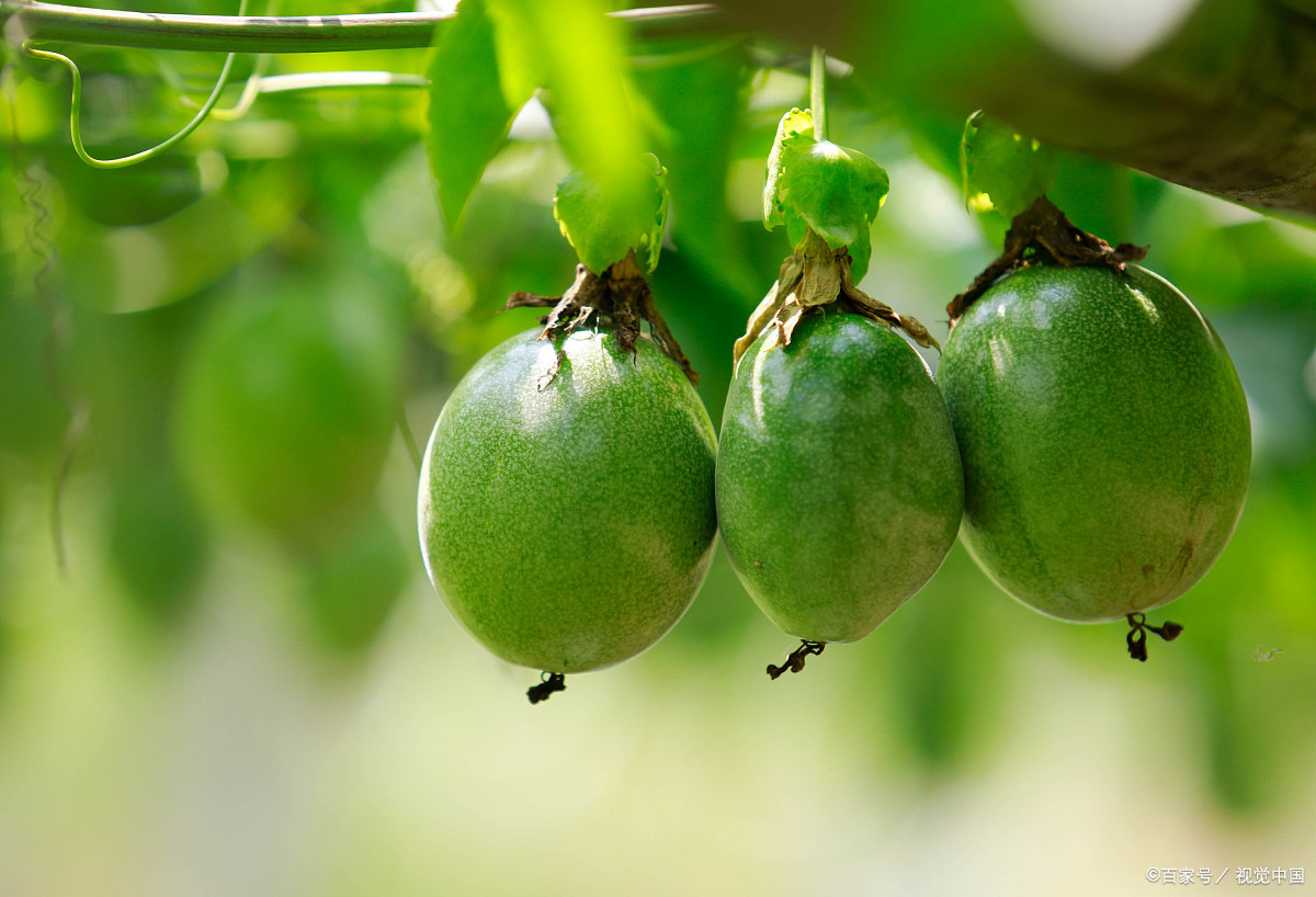 件件香 - 优质问答专区