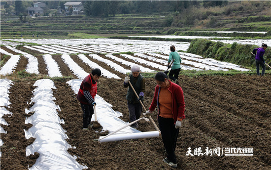 绥阳蒲场镇:深化坝区产业结构调整做足"功夫!