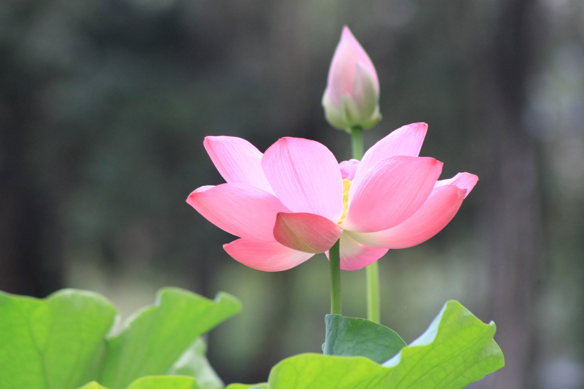 男人的心若是在家里,女人能够感受到最切实的安心和踏实,不会总是患得