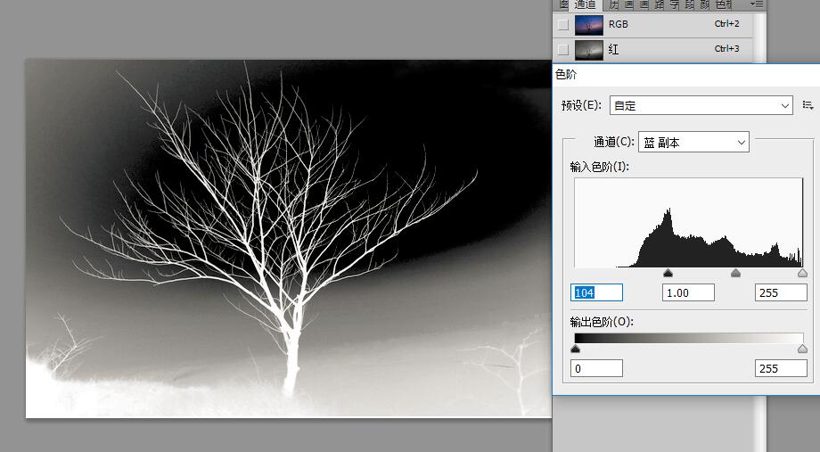 【ctrl i】将图像反相,选择【图像-色阶】,拉动底部的小滑块,将黑白