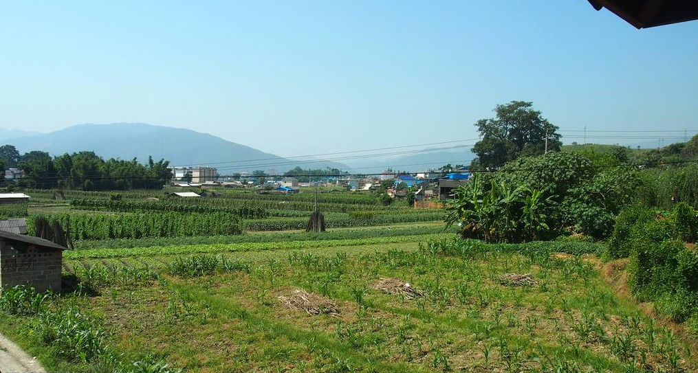 一起走进马来西亚的农村,欣赏那里的田园景色!