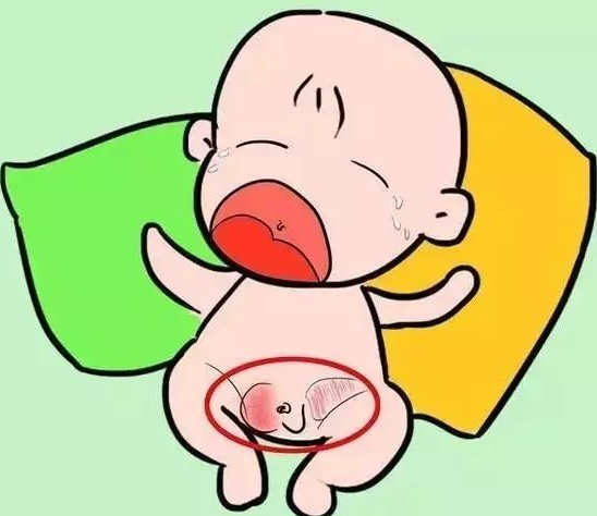 宝宝标准睾丸图片正常图片