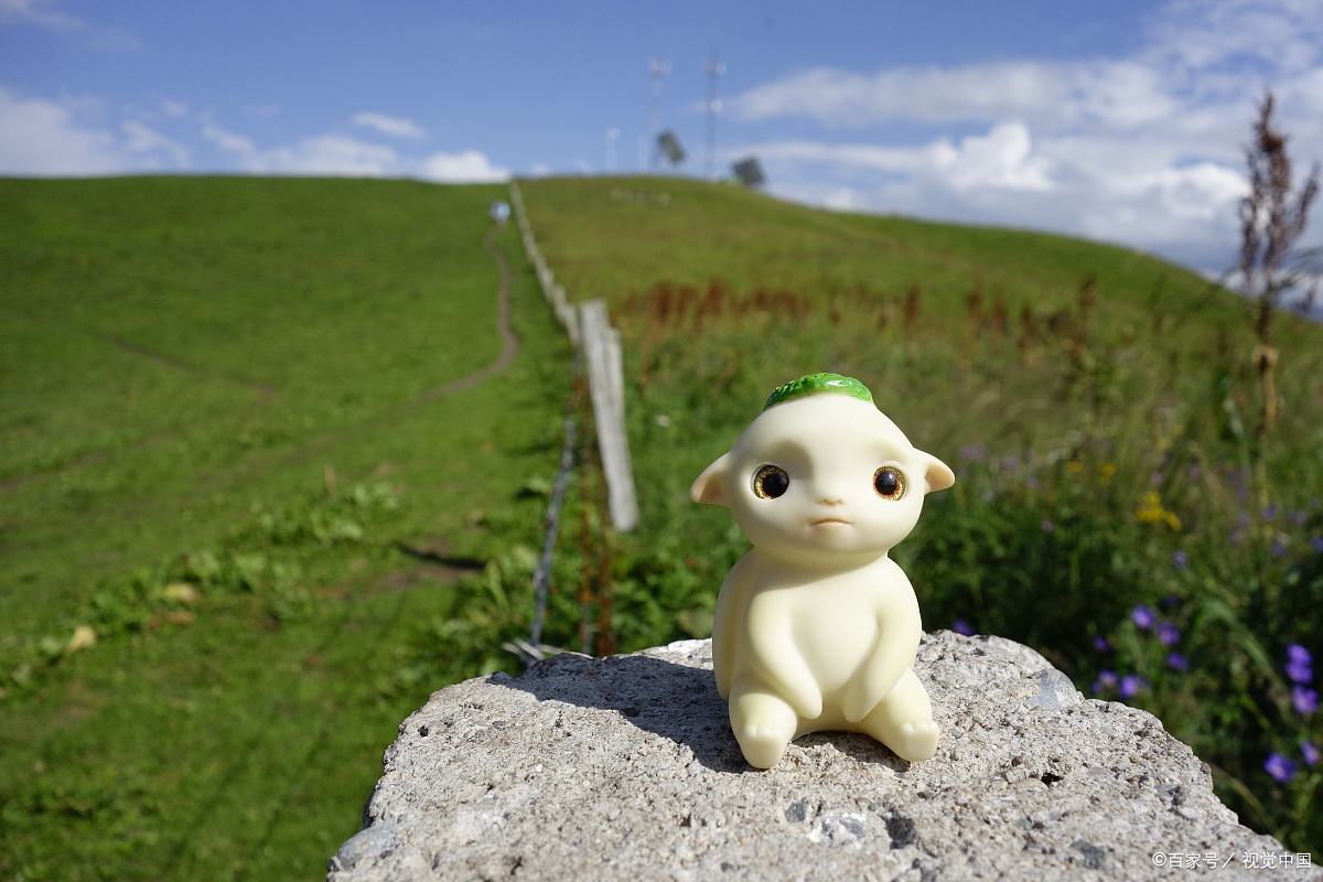 旅组词,旅字怎么组词?