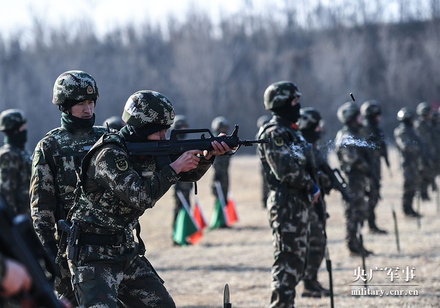 武警兵团总队机动支队图片