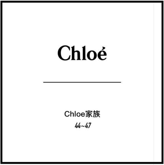 抖乾貨 100 款大牌包包全球 20 國大比價-chloe家族