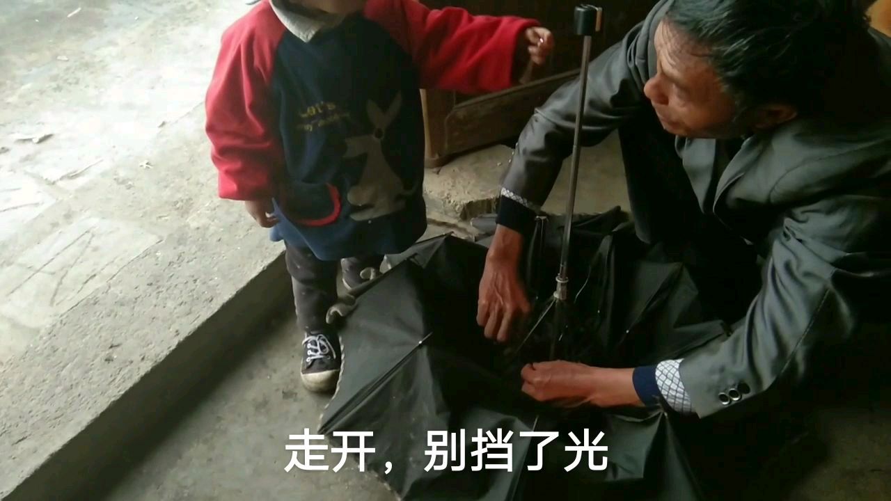 一岁七个月宝宝一大早去捡鸭蛋,吃完早饭看爷爷弄坏的伞
