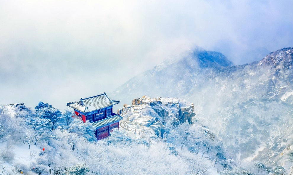 泰山雪凇, 一夜大风,旋起山上的积雪,山上的植物都是玉树银装.