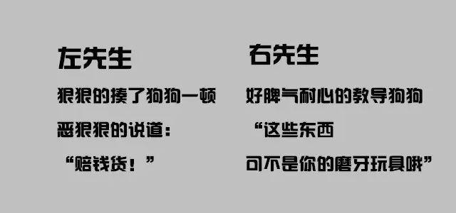 养狗以后,你是要做左先生还是右先生呢?