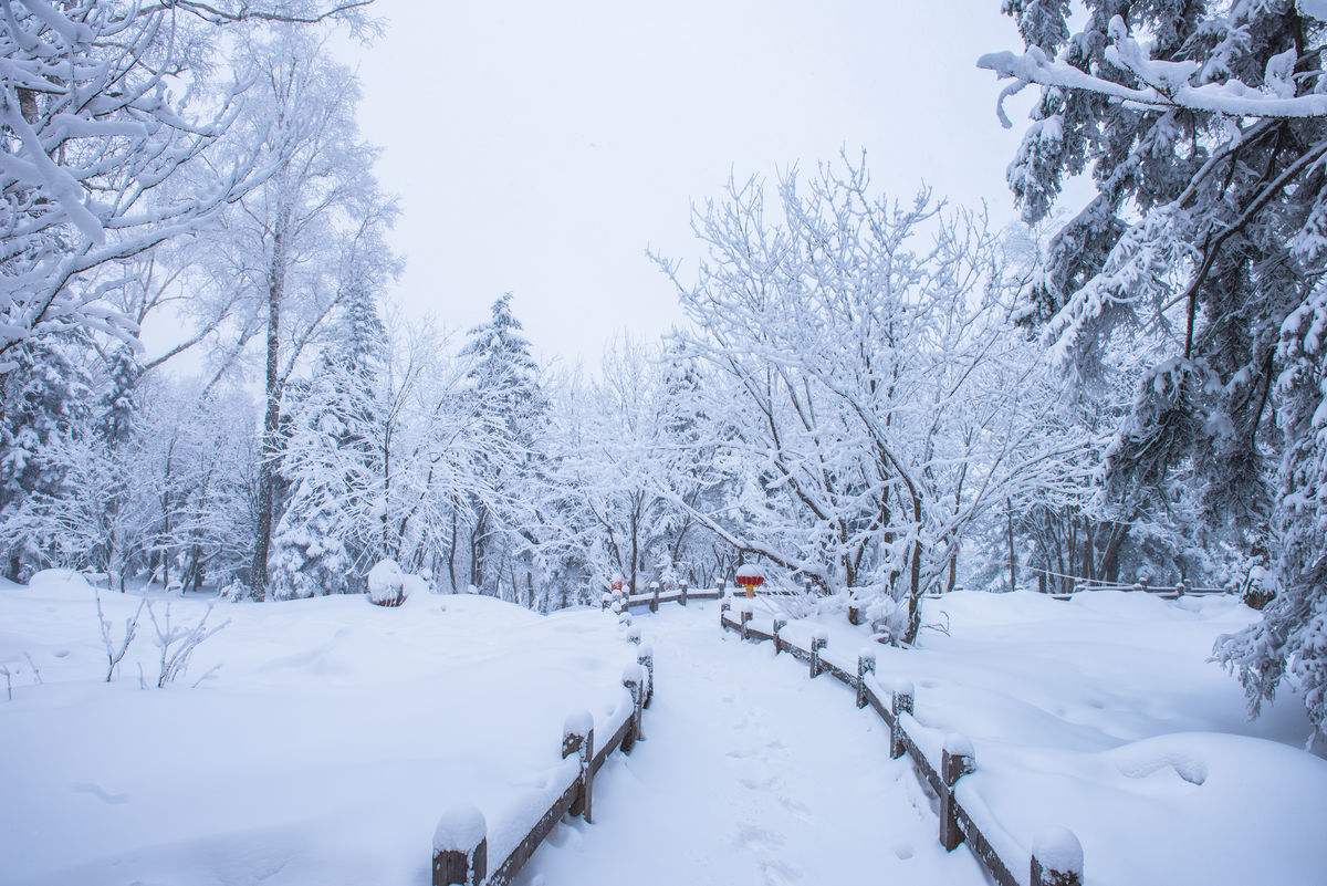 冯淑贤原创诗歌四首:飘雪无声丨雪丨雪的天空丨新年的雪