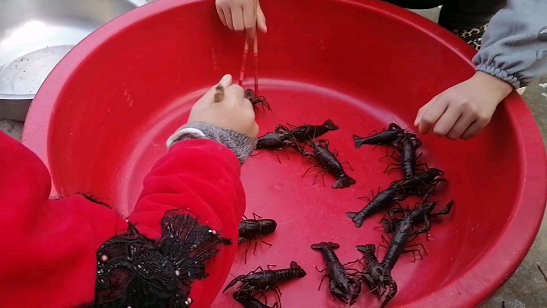 大盆龙虾,两个小朋友拿着筷子却不吃,端到池塘边,这是要干什么