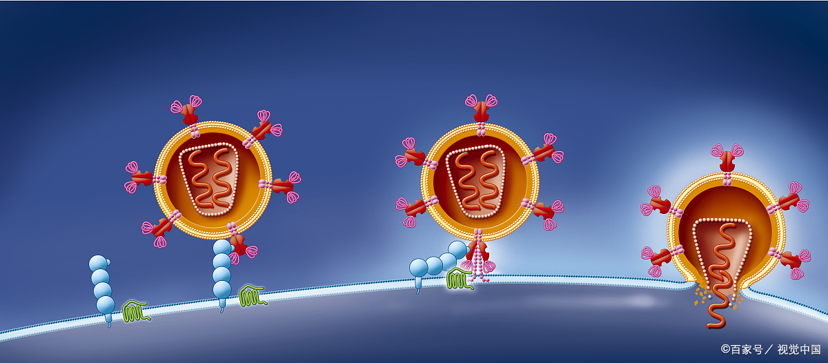 细胞膜上面的通道