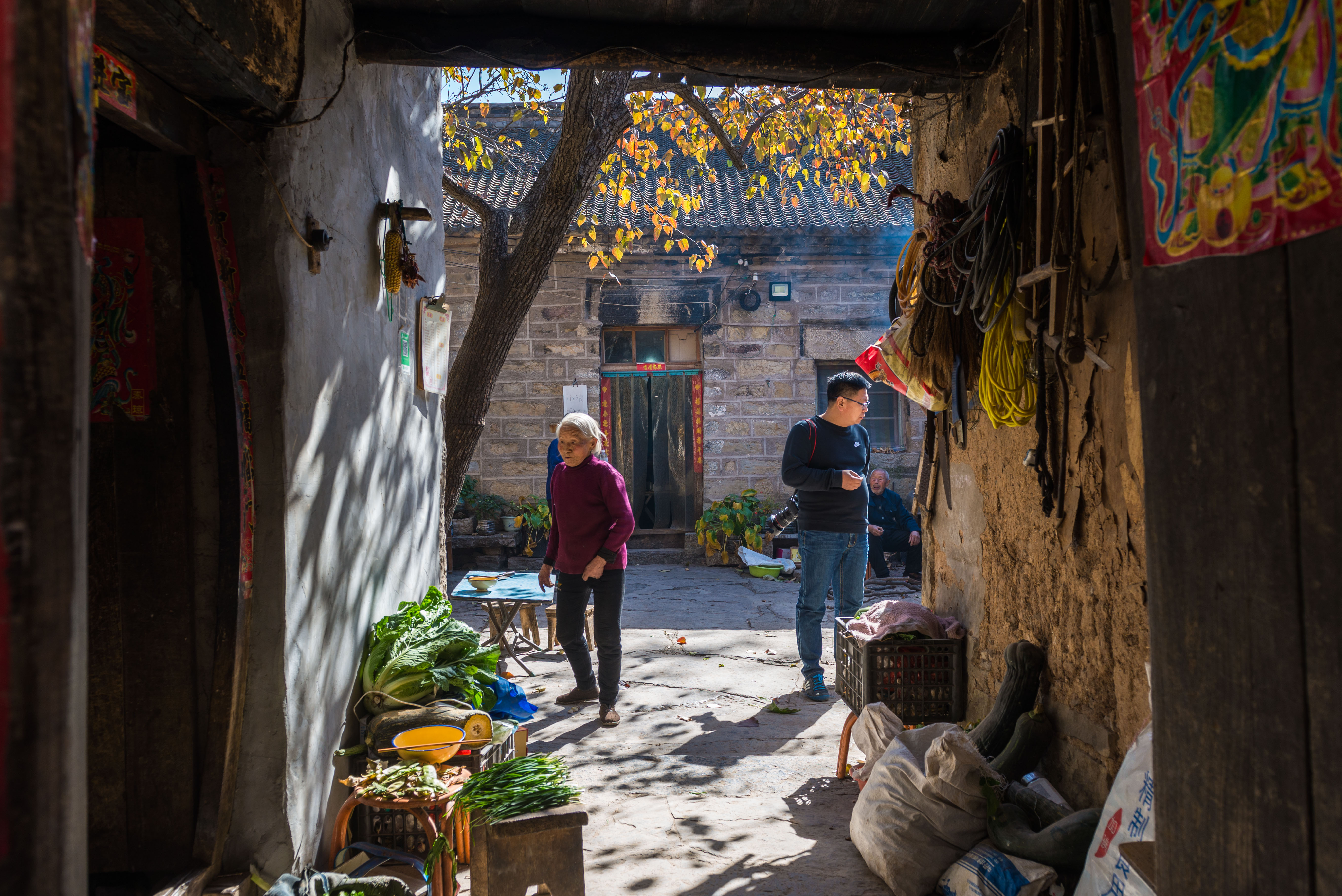 老宅子,旧木门,院中一棵老梨树,构成了一幅最美的田园风光.