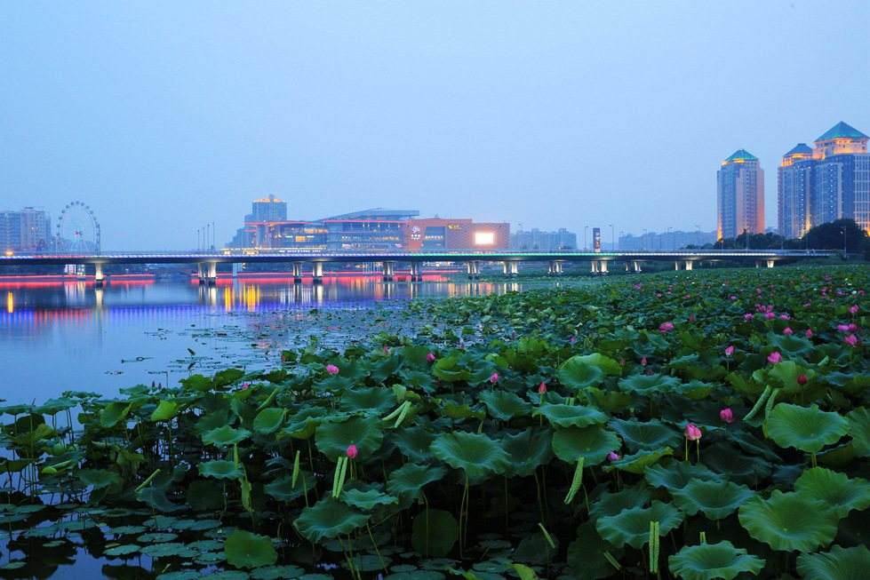 揚州的那些風景――明月湖和瘦西湖