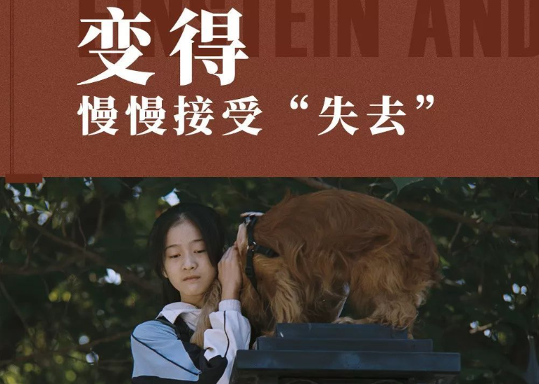 《狗十三》年底力作,引网友共鸣,这样的青春太心酸!