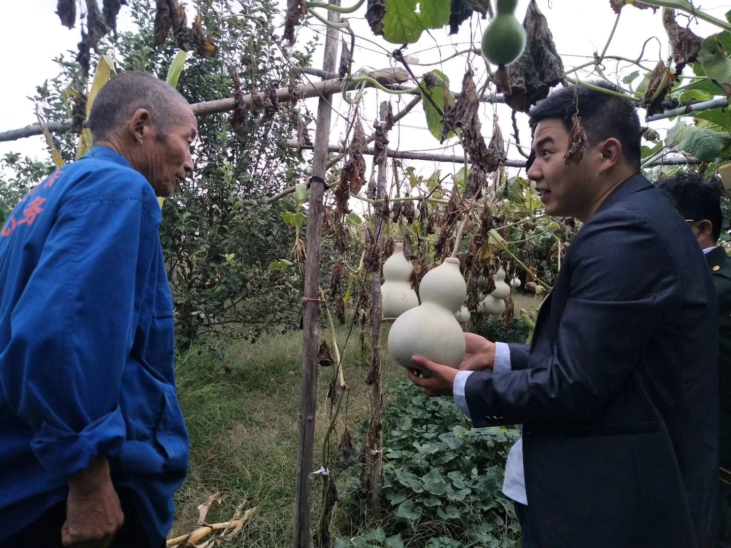 陕西葫芦 - 2020年最新商品信息聚合专区 - 百度爱采购