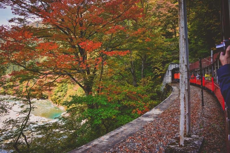 日本黑部峡谷冷门景点搭着小火车赏枫叶欣赏大自然峡谷美景