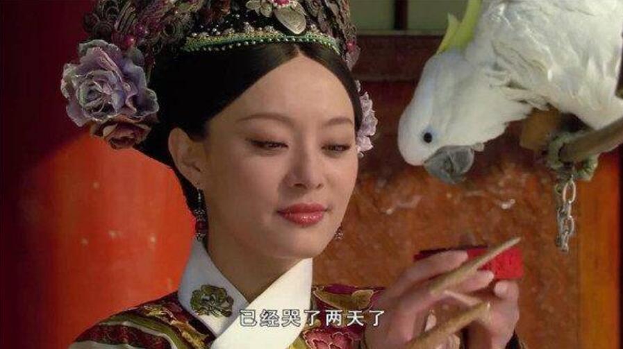 后宫娘娘养的宠物,叶澜依撸猫,谁注意到甄嬛养什么,果然是赢家