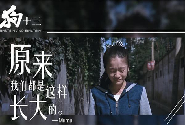 《狗13》这部电影告诉我:成长就是妥协,长大就是像狗一样被驯化