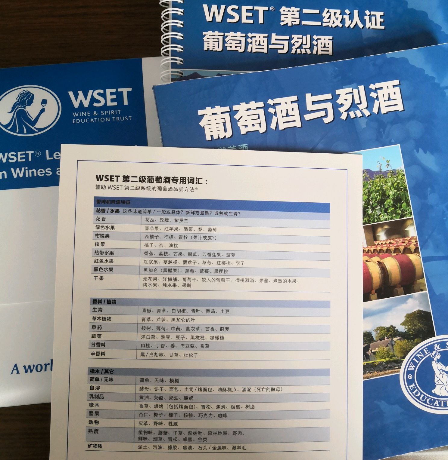 葡萄酒考级wset图片