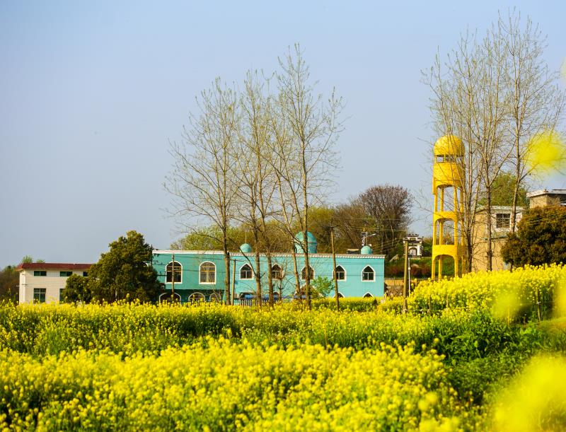 东至县胜利镇江心回民村