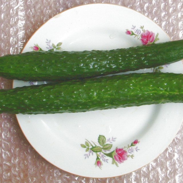 麻酱黄瓜,经常做的一道菜,来看师傅是怎么做的