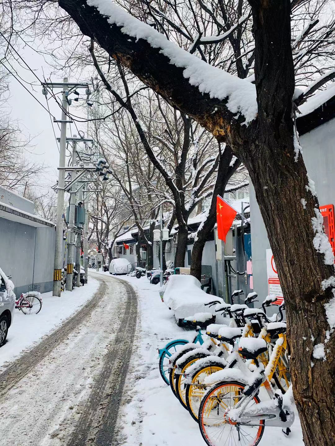 雪后的老北京胡同 又有了北平的感觉