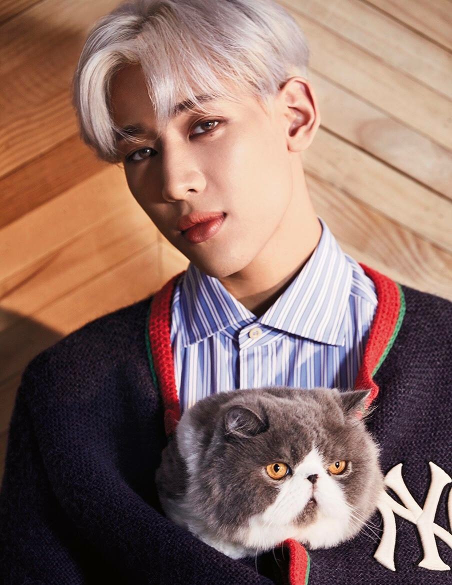 got7,bambam走心发长文ins,哥哥们的评论简直太搞笑!