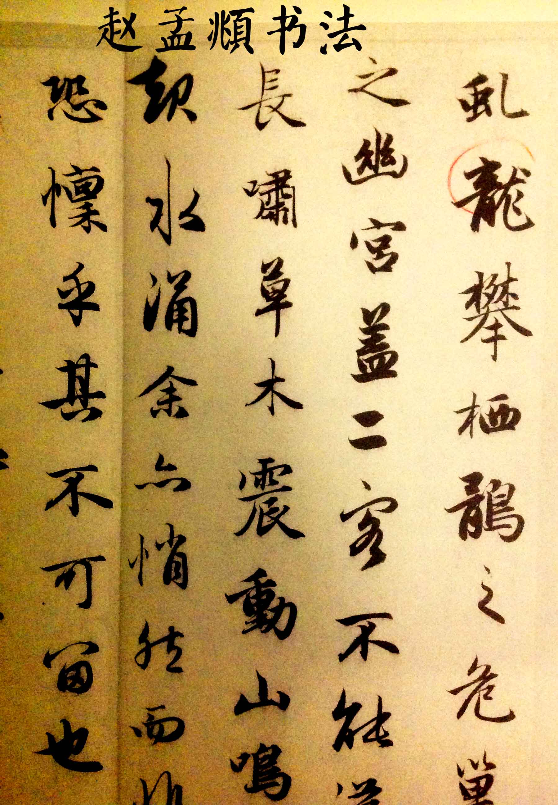 「滔哥漫看」"才女书法家"徐静蕾的字,居然被贬为江湖字