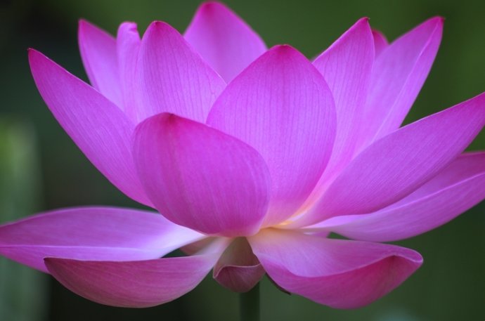 救皇帝于危难是什么体验?曹操的先祖告诉你