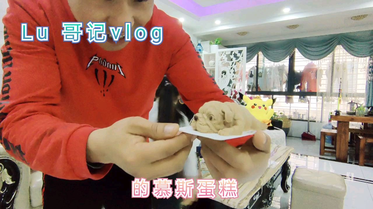 网红款慕斯沙皮狗