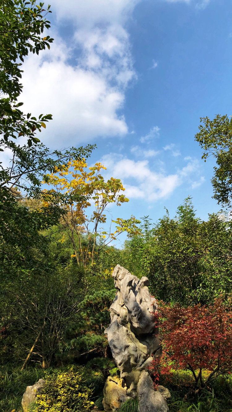 实拍杭州冬日灵隐寺飞来峰美景