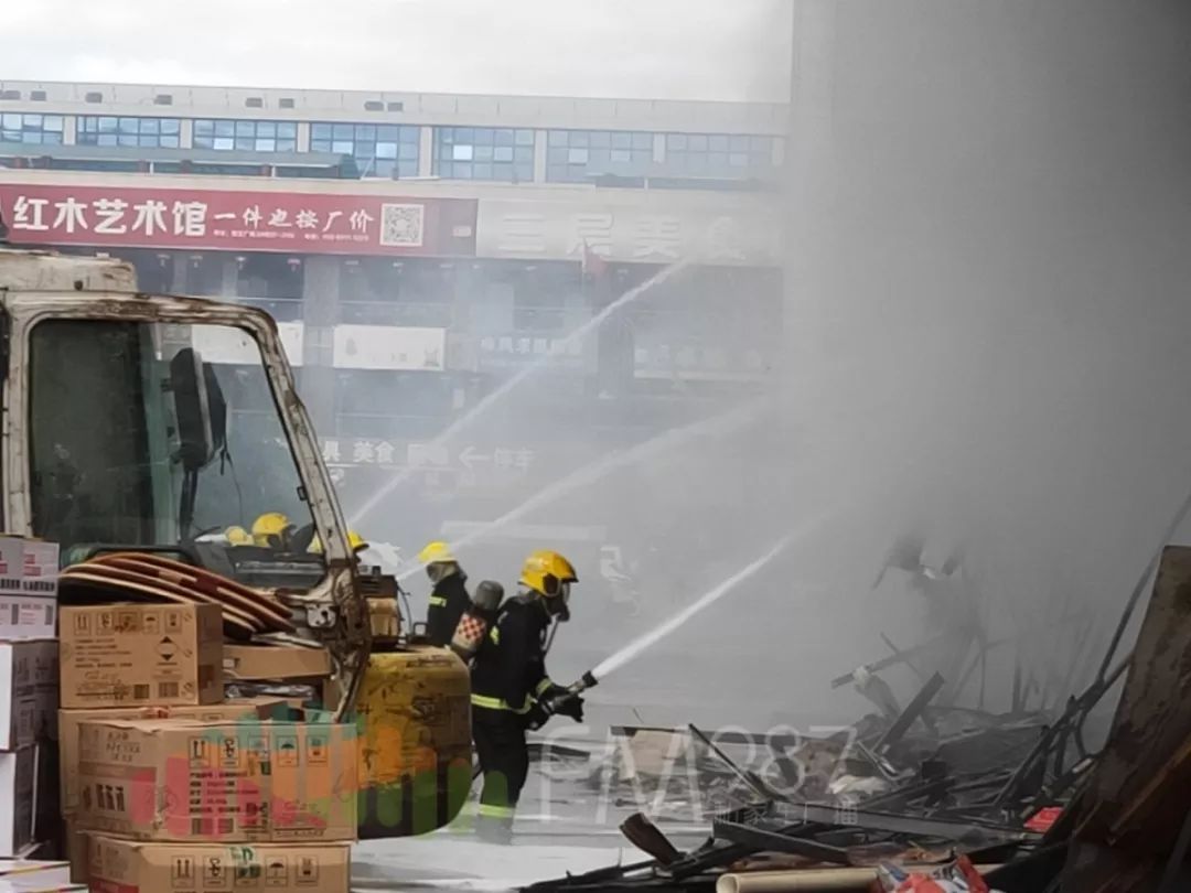 福州花鸟市场图片