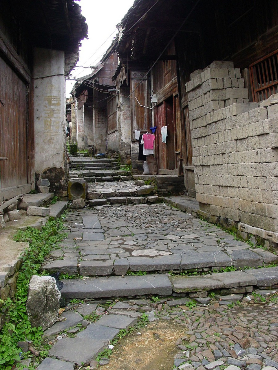 景宁畲族自治县城郊的大均是一个古村落,这里的环境优美,生态优良