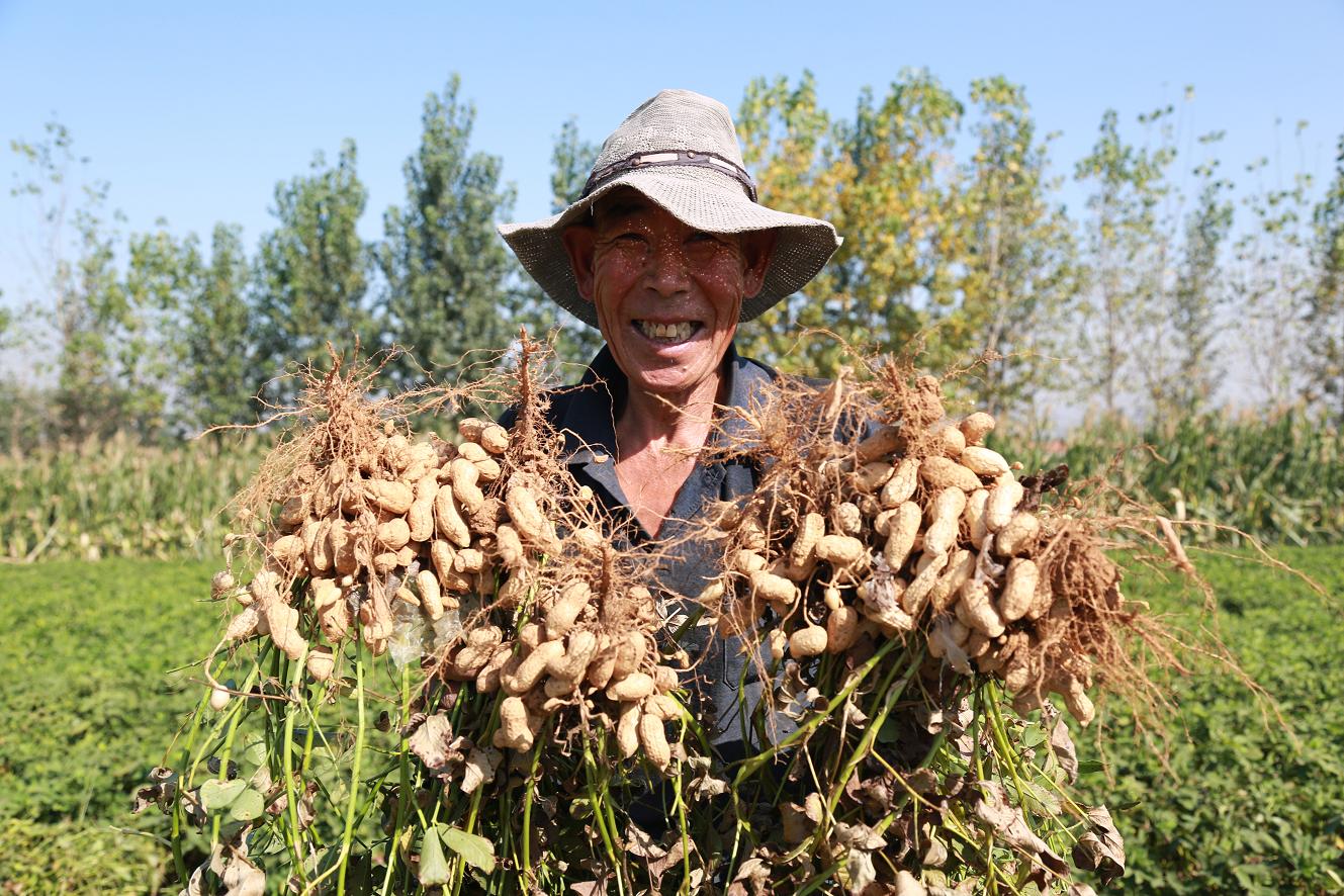 5;不少人都喜欢无聊的时候吃几颗花生,其实,花生还有一定降低胆固醇的