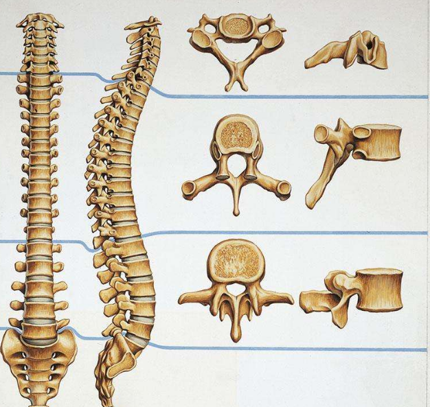 1个动作了断颈椎病,腰椎病,关节炎全赶走!快收好,错过后悔!