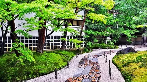 走进"日本美学",是一种"视觉盛宴"?