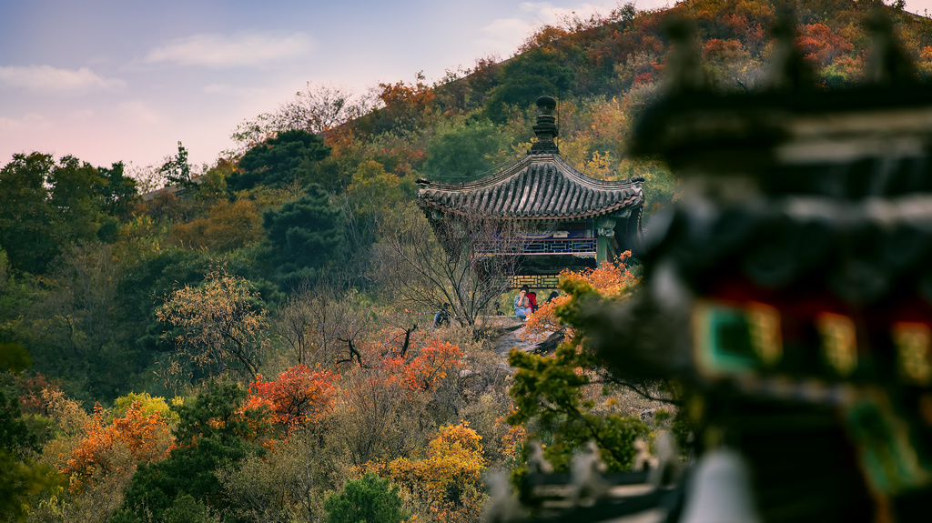 北京西郊有座香山公园,你知道这里吗?