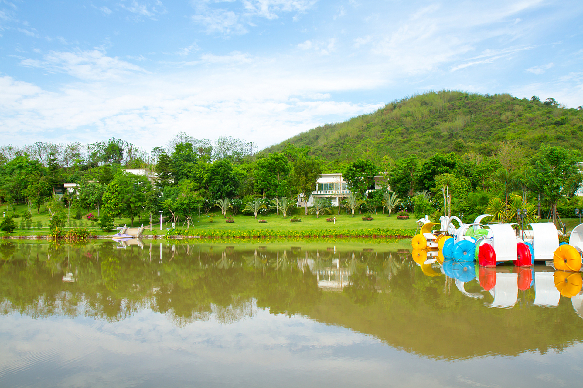 银杏湖生态旅游区位于南京江宁区,以茶花,樱花,牡丹及梅花,桃花等花卉