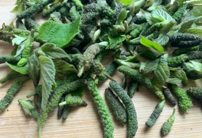 春风送暖,又到了吃"构棒槌"的季节,这样的做法你吃过没有