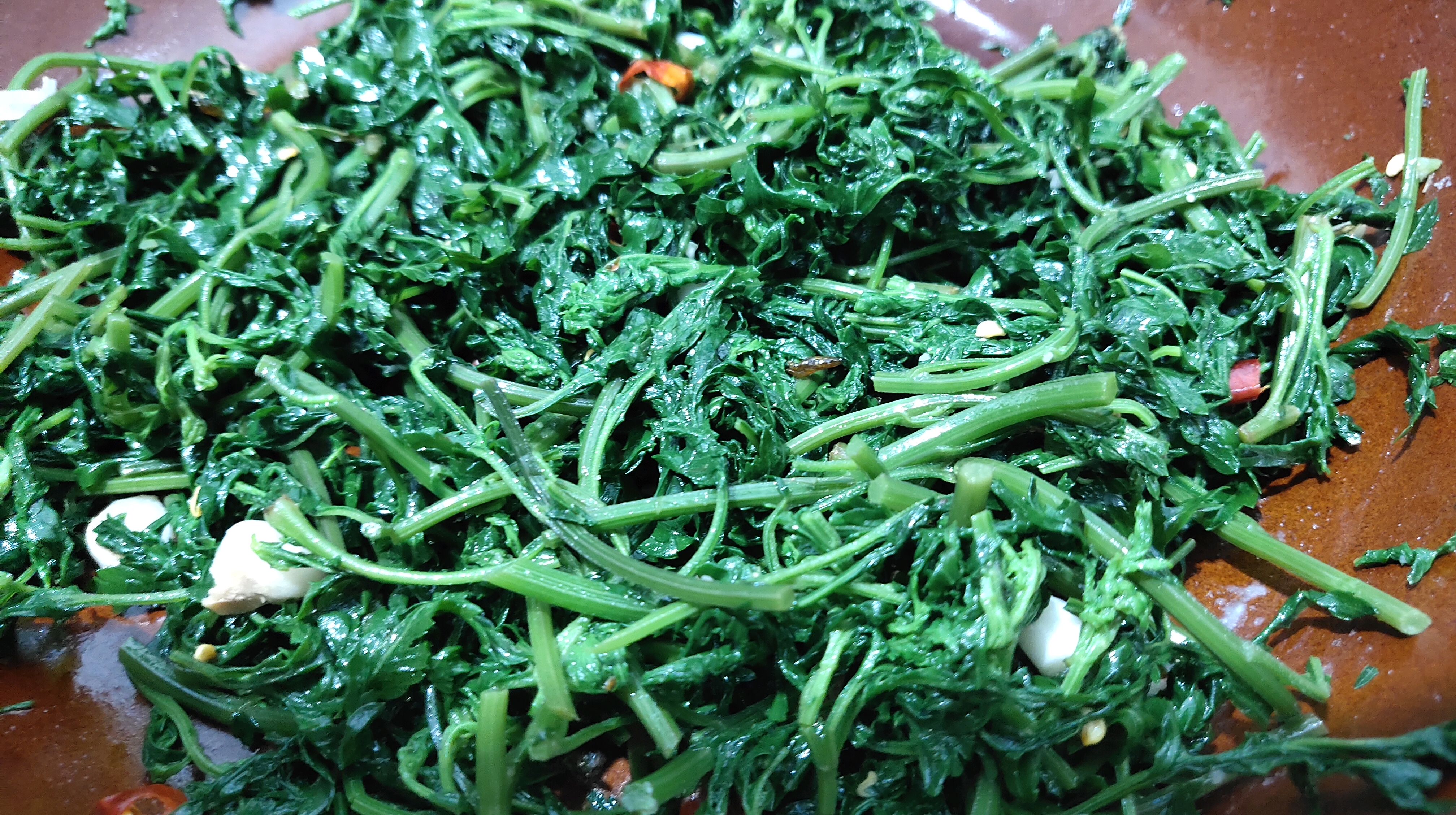 野茼蒿,一菜二吃,都试试吧.