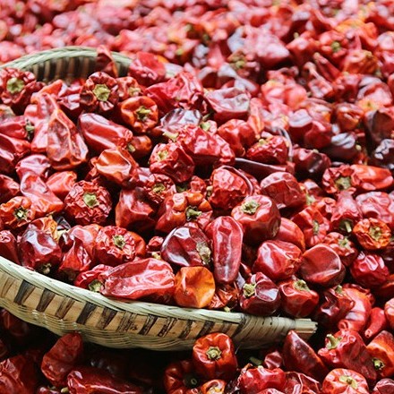 农村菜农们种植的灯笼椒又有哪些用途呢?