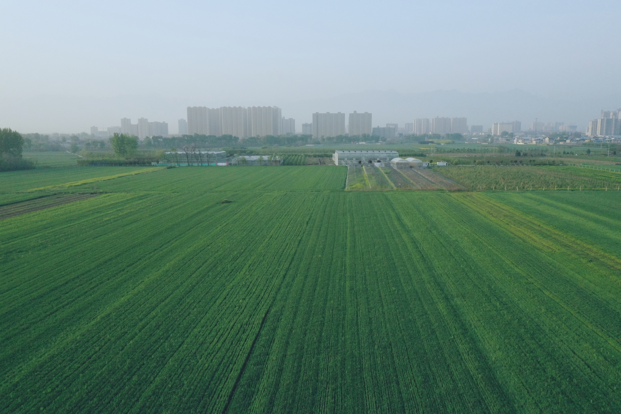 北方初春的田野图片图片