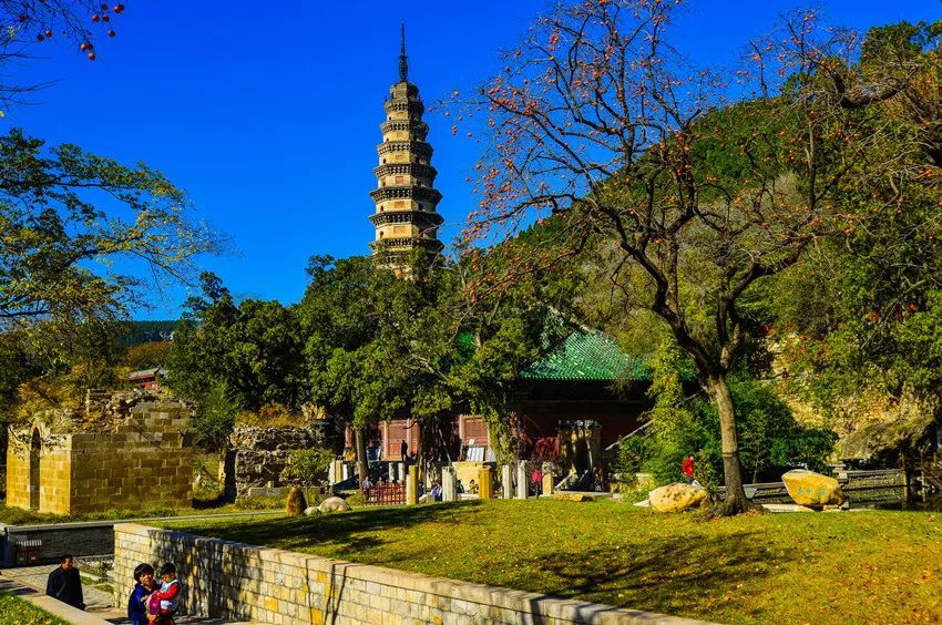 好消息!今天起夜游趵突泉半价,灵岩寺门票降为40元!