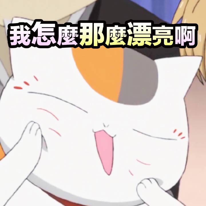 猫老师表情包第四弹