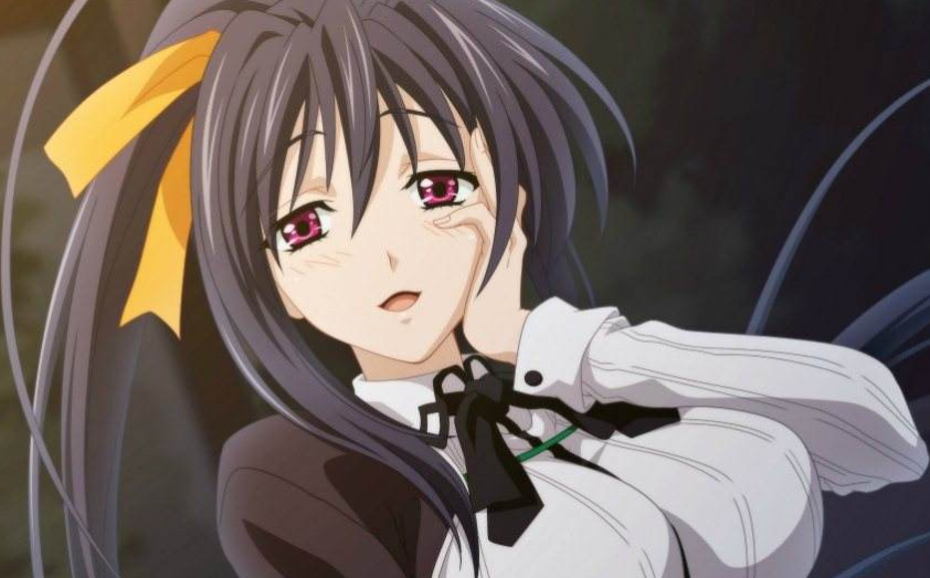 6,恶魔高校dxd,诚哥,你懂的,后宫姿色都很高,各种类型都有.