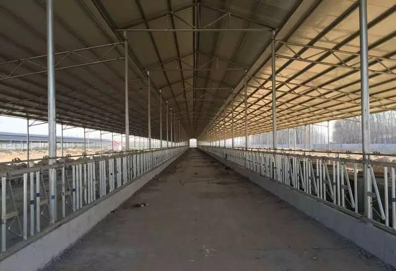 养牛过程中,牛舍建造是很重要的一环,必须认真做好
