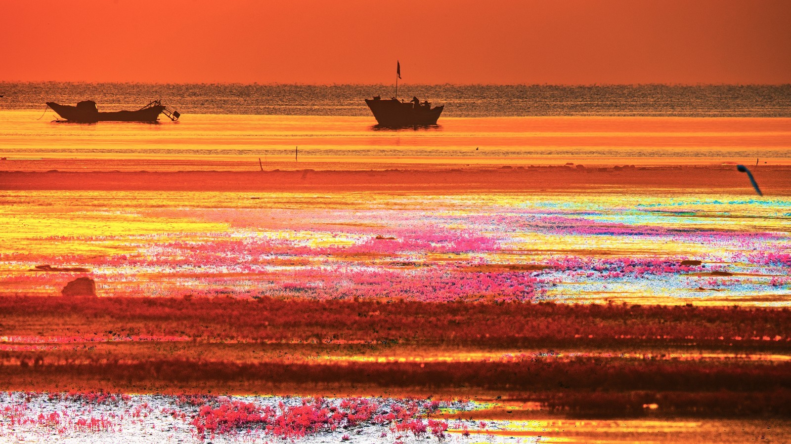 兴城红海滩风景区图片