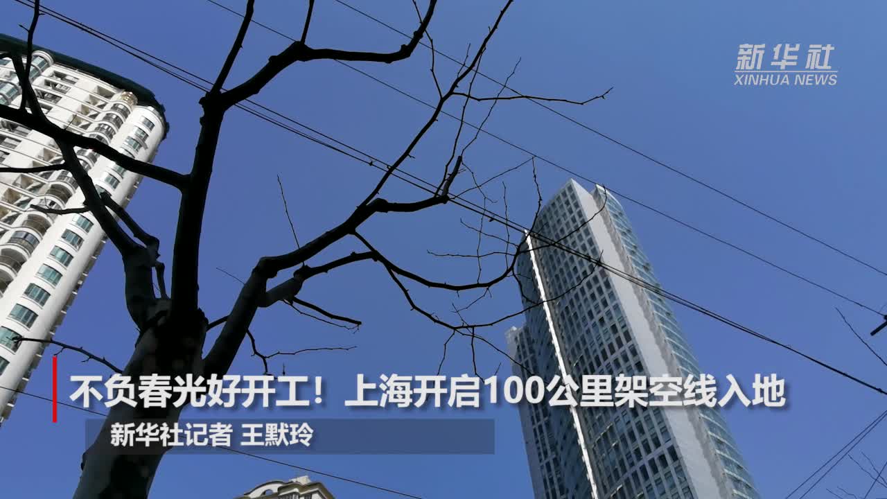 不负春光好开工!上海开启100公里架空线入地