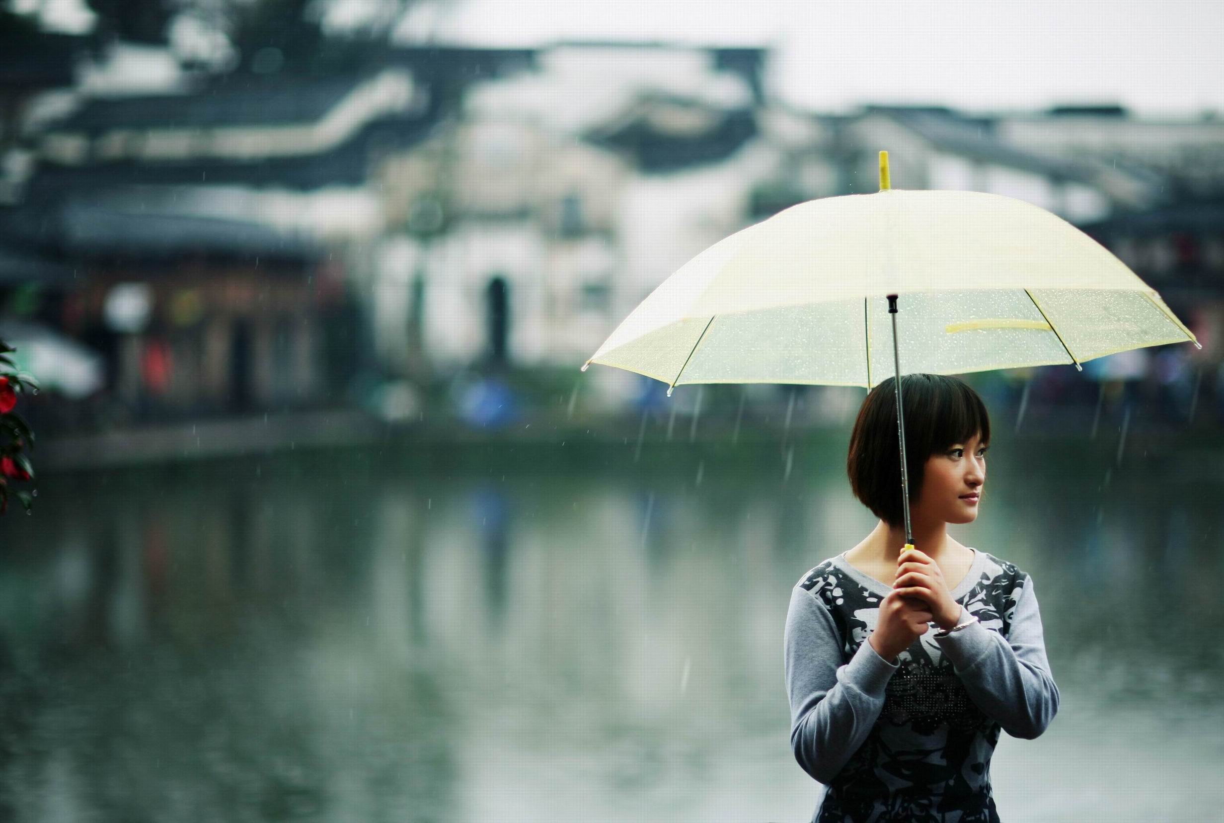 唯美雨中情图片图片