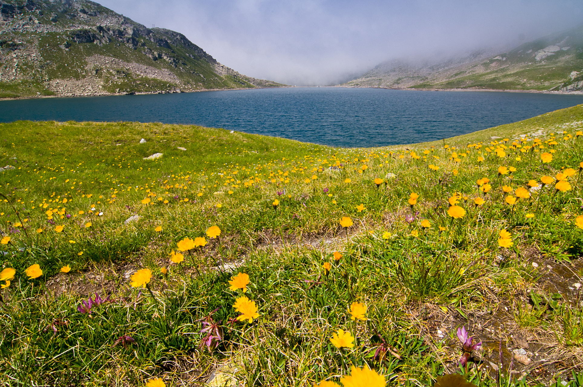 奇遇那拉提#新疆那拉提雪莲谷是一处以高山秀丽的自然风光为主题的
